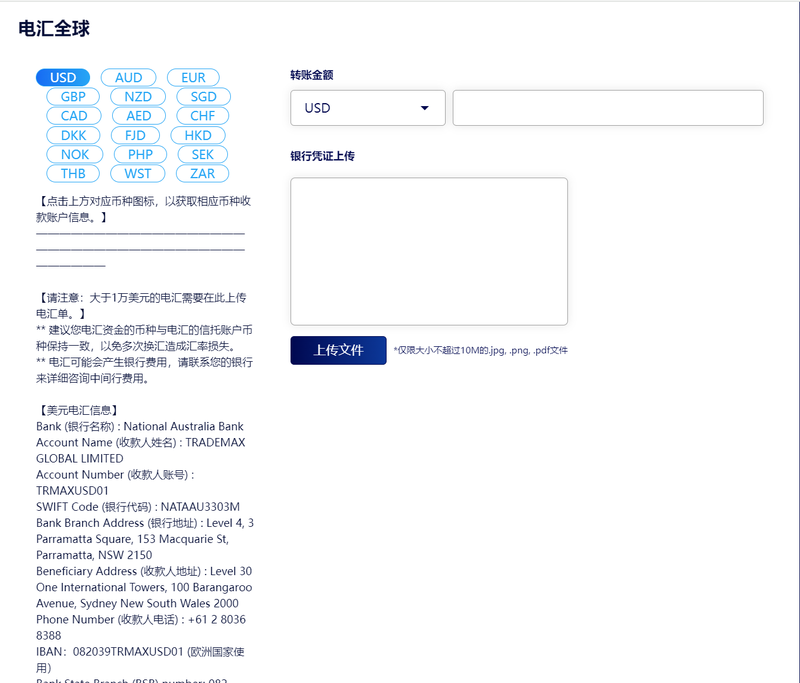 TMGM可以国际电汇入金吗